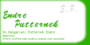 endre putternek business card